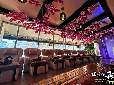 따라나 국제마사지 워킹점 Walking St.Tarana Gookje Massage and Spa