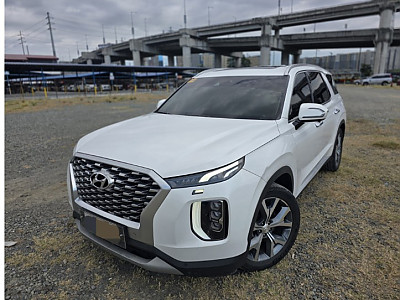 2021 펠리세이드 풀옵션