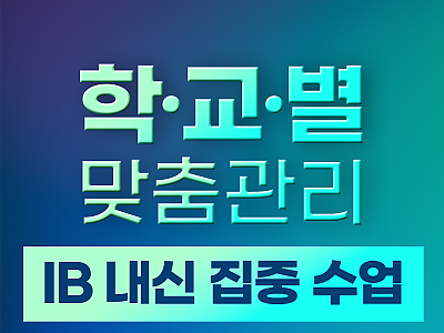✨ IB 상위권이 그룹수업 대신 조용히 선택한 그 수업